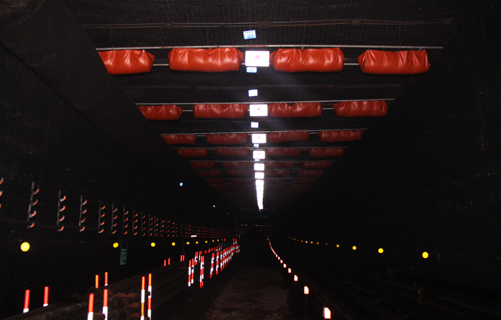 161668565620884643.png 哥白.png