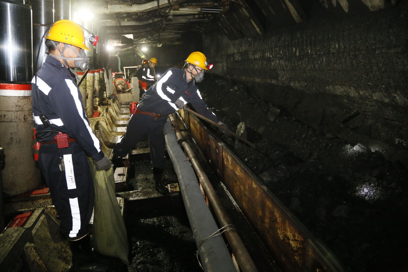 161668567794235503.jpeg 采樣照片.jpg