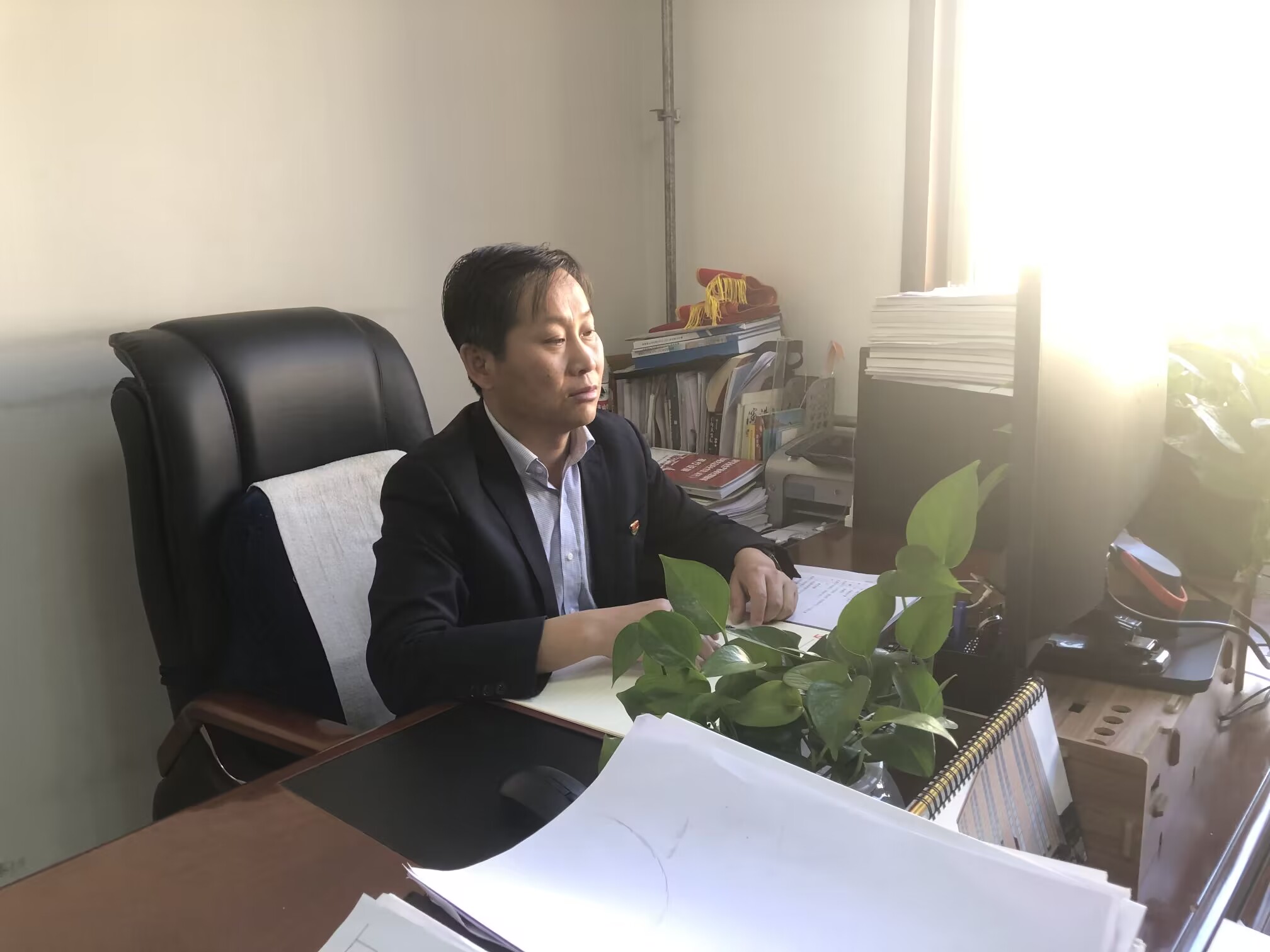 楊帆工作照.png