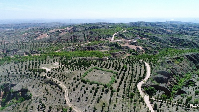 131676267714445362.jpeg DJI_0022(1)_副本.jpg