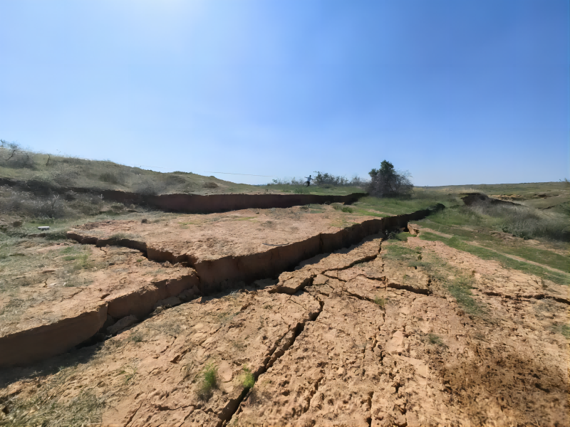 261690359105567055.png 初放(1).png