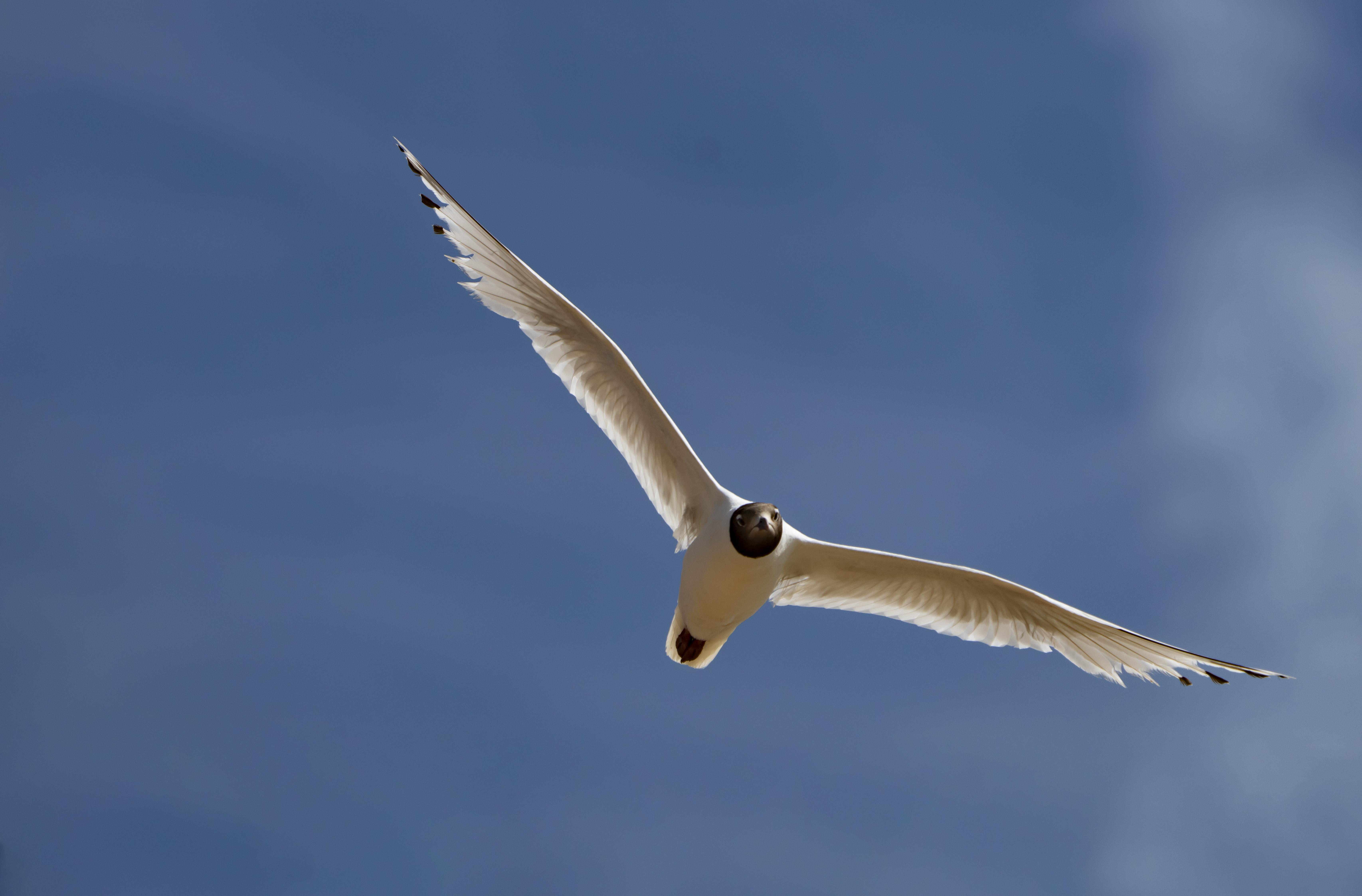 041691133124724773.jpeg 041691133121946727.jpg