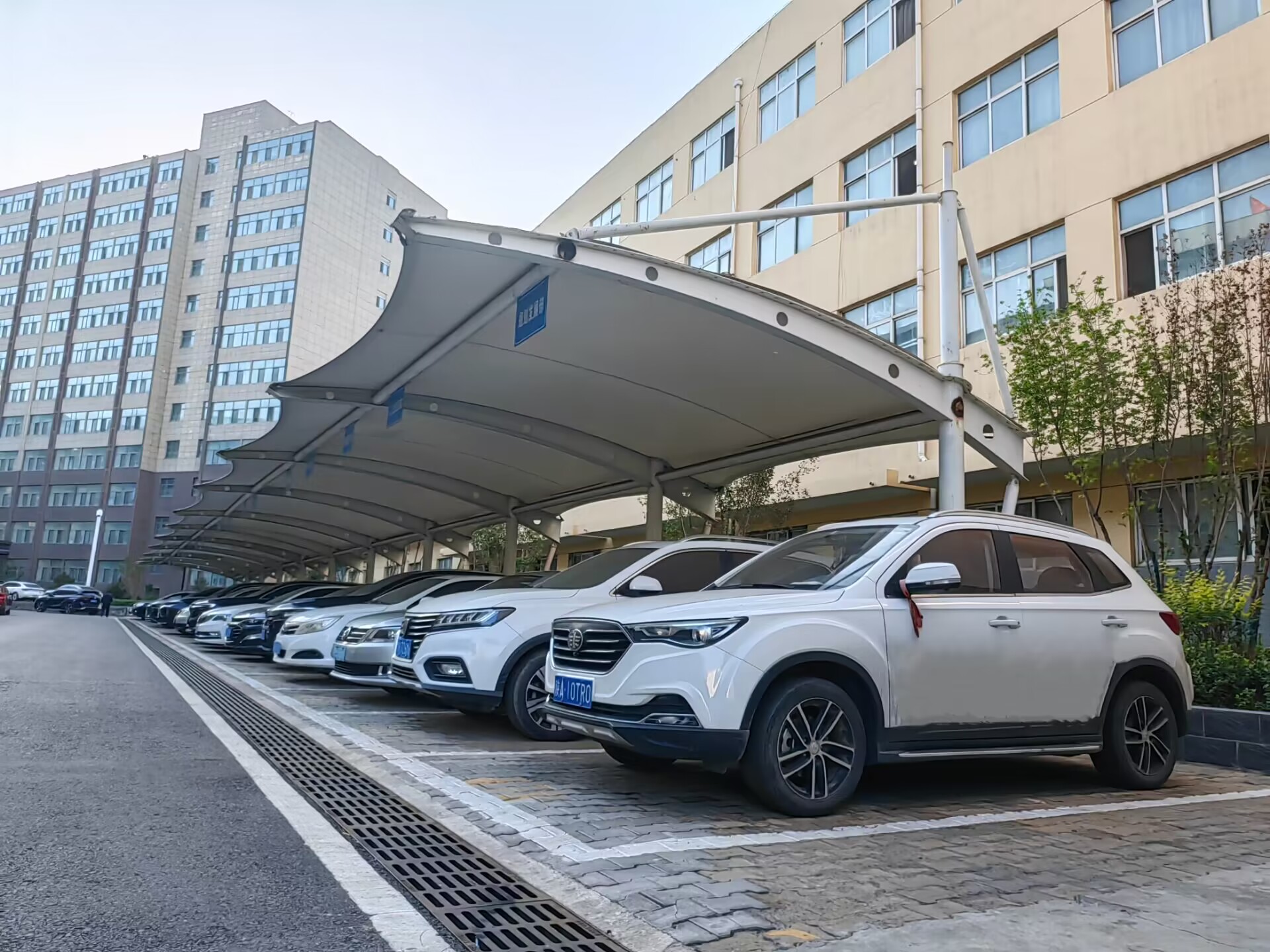 141694655160650922.jpeg QQ圖片20230914075637.jpg