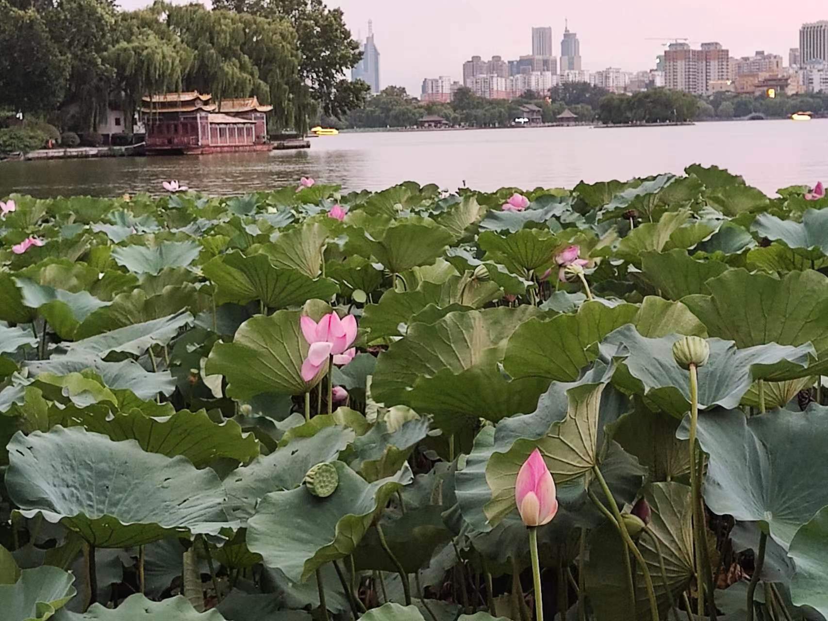 微信圖片_20230821172918.jpg