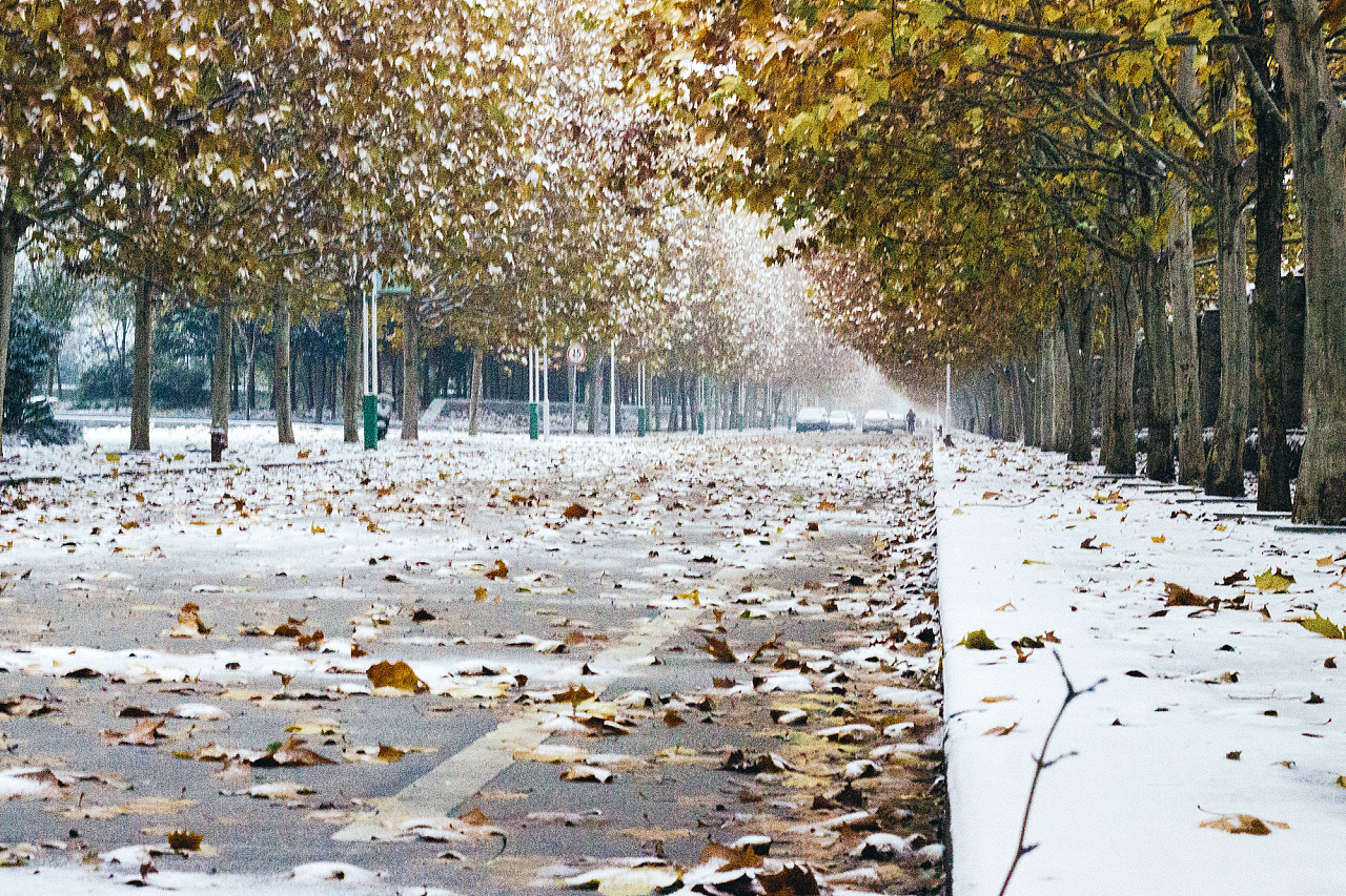 2015*校園初雪|攝影|人文/紀(jì)實(shí)攝影|攝影師阿井 - 原創(chuàng)作品 - 站酷 (ZCOOL)