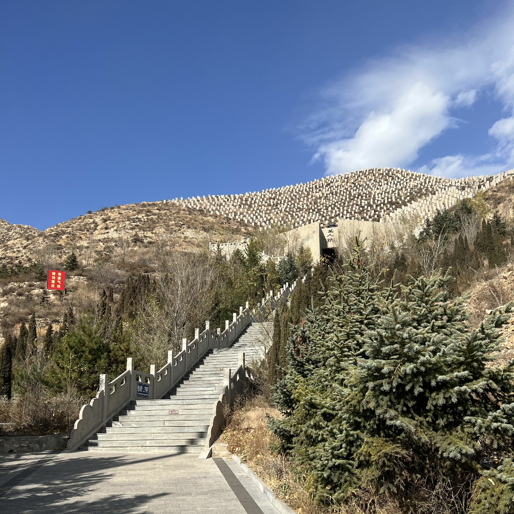 181702883879354367.jpeg 181702883879354367.jpeg