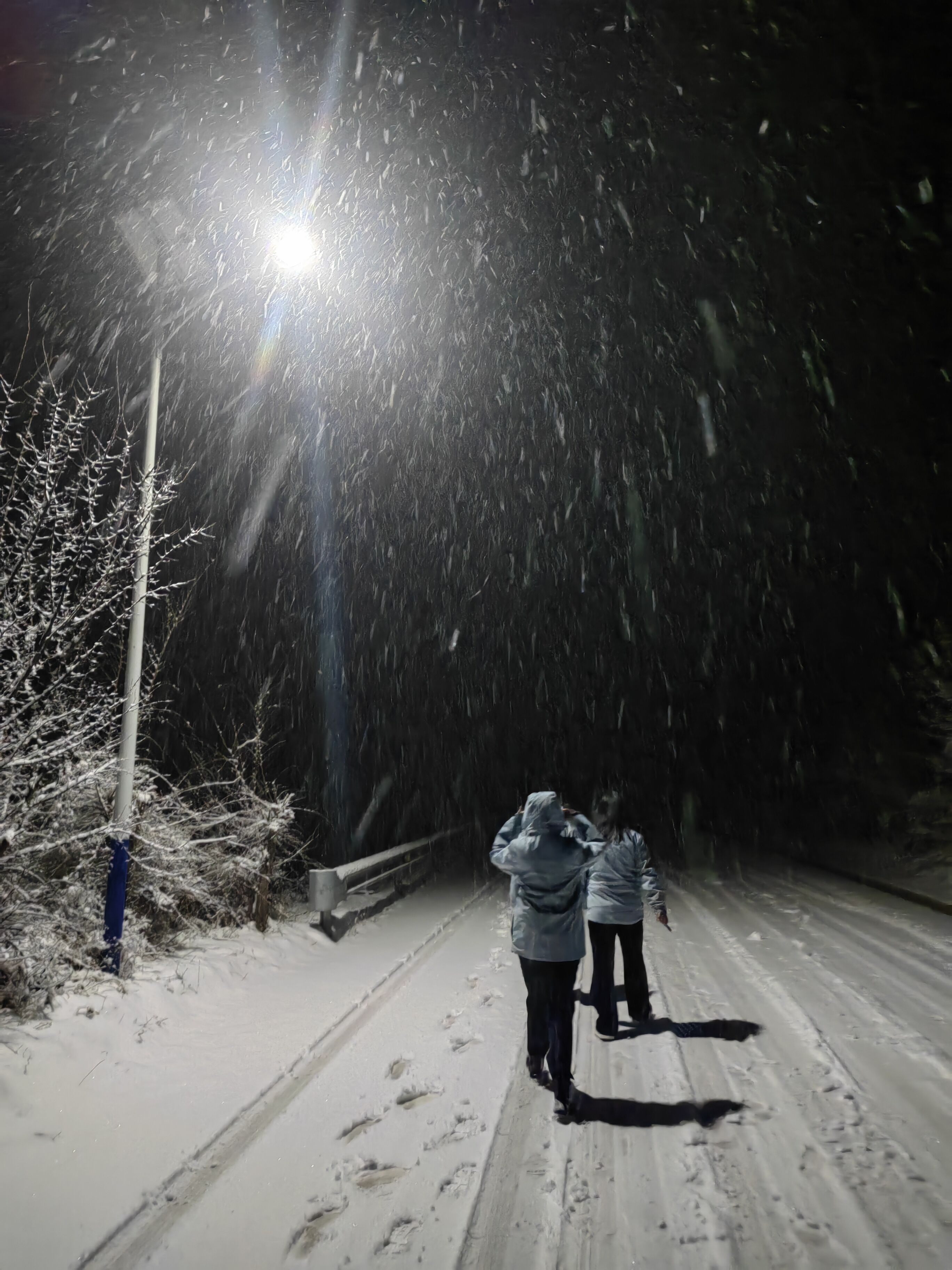 121705025904136701.jpeg QQ圖片20240112101418.jpg