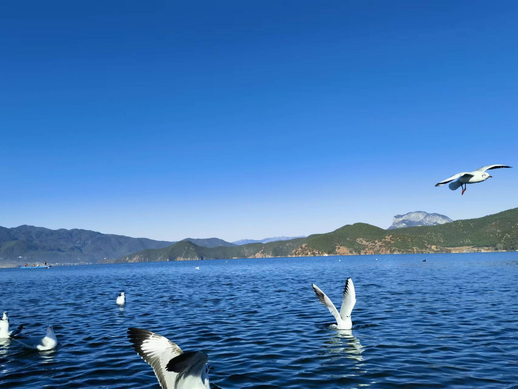瀘沽湖.jpg