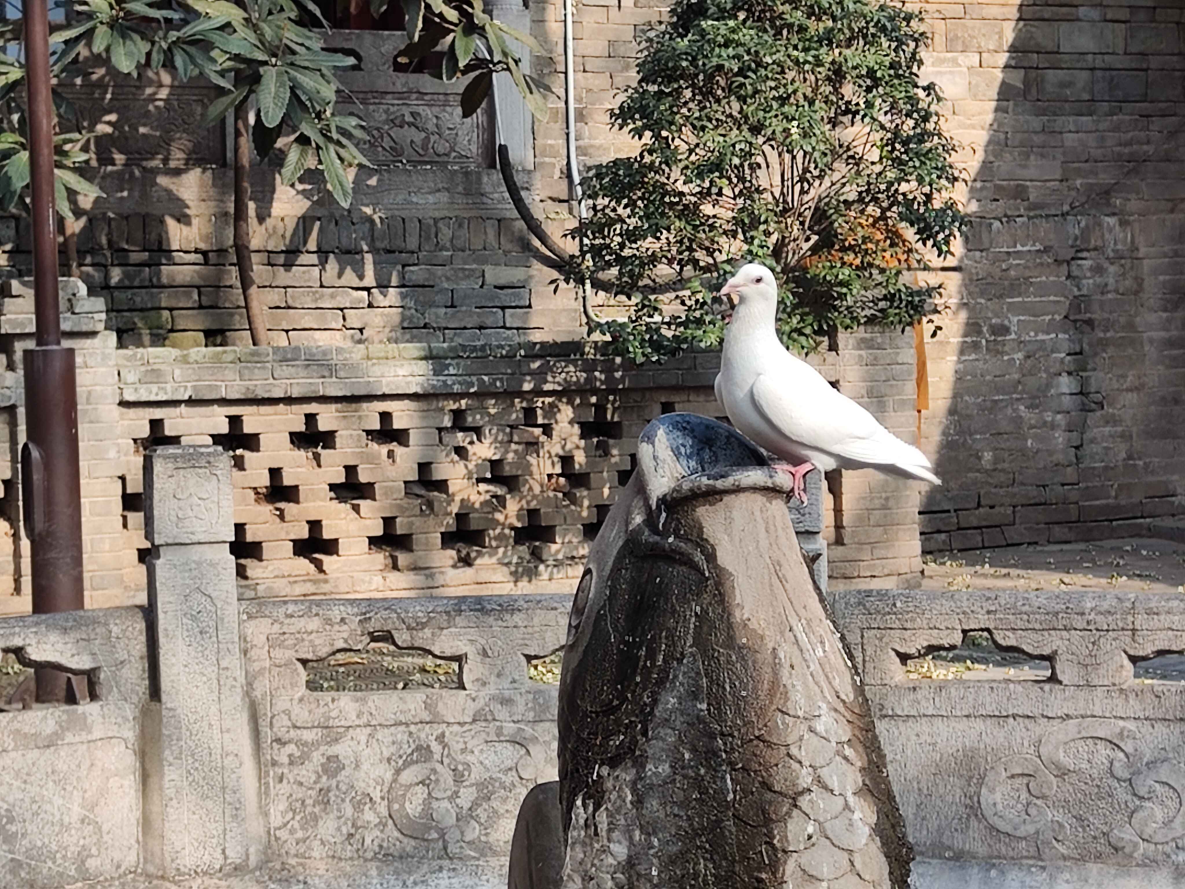 興善寺.jpg