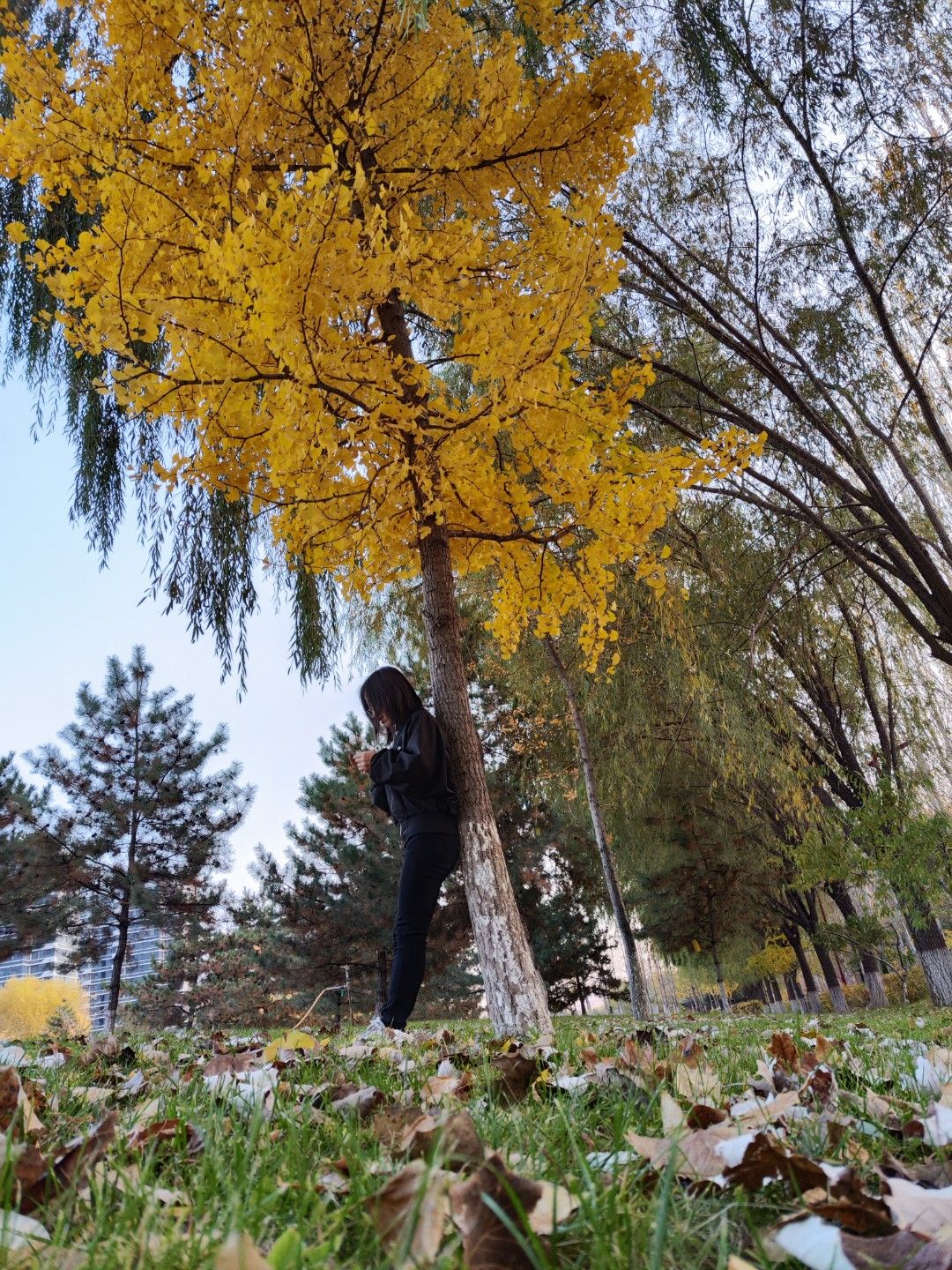 191708324659840694.jpeg 曬太陽.jpg