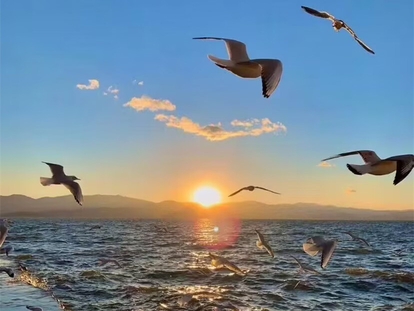 211708500942306697.jpeg 7029B1F78527B3899E73651363D1DD5E_副本.jpg