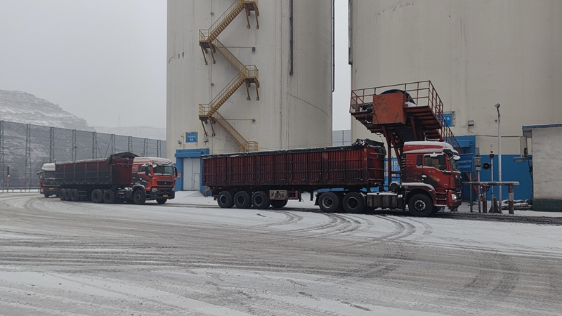 271709017213421808.jpeg 場區(qū)雪.jpg