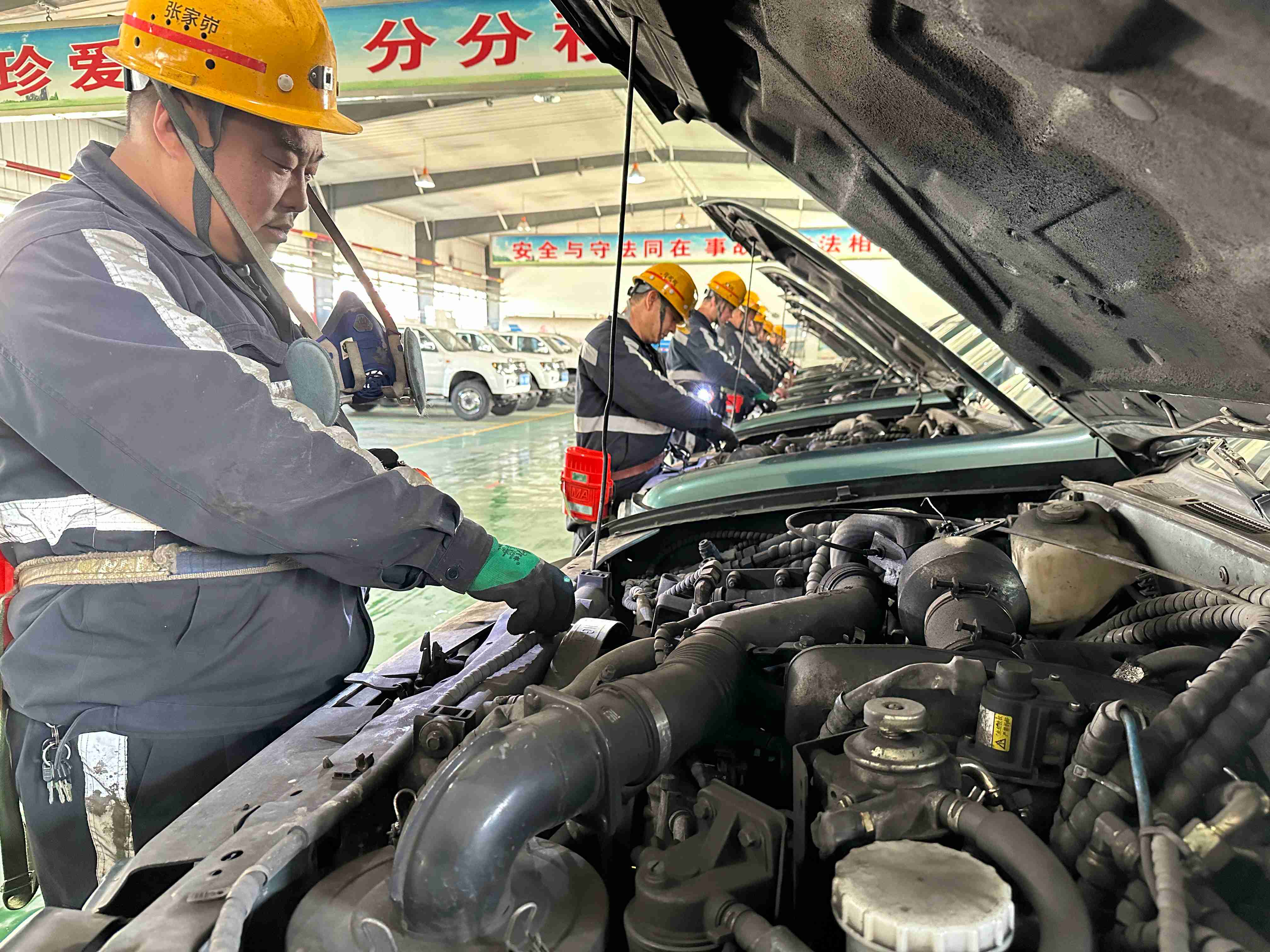 081709884393634803.jpeg 2_副本.jpg