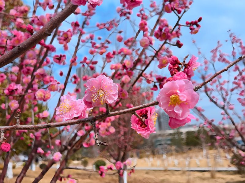 211710991600432567.jpeg 14_副本.jpg