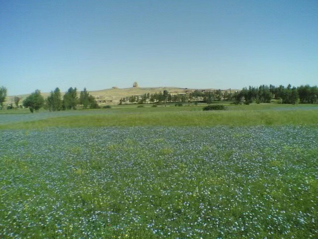 211710992468460733.jpeg 0f51cdc90d022c9551a38901f3d119e.jpg