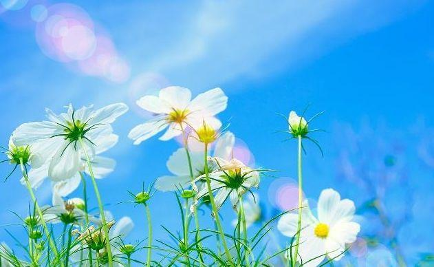 031712106070568072.png 031712106070568072.png