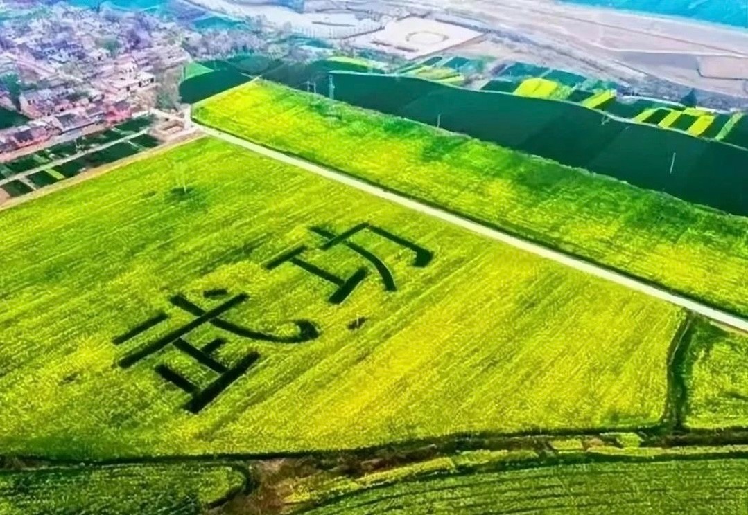 081712537754602464.jpeg d1847a0f432caefdd2aff98ee3c197ad.jpg