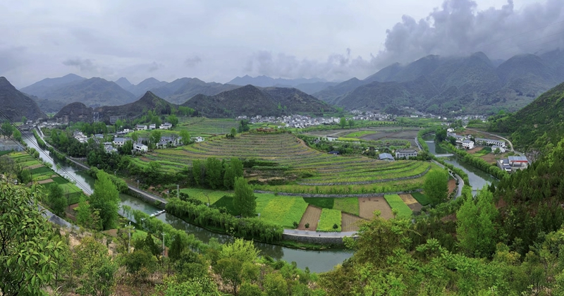 121712903108699756.jpeg IMG_1646.JPG