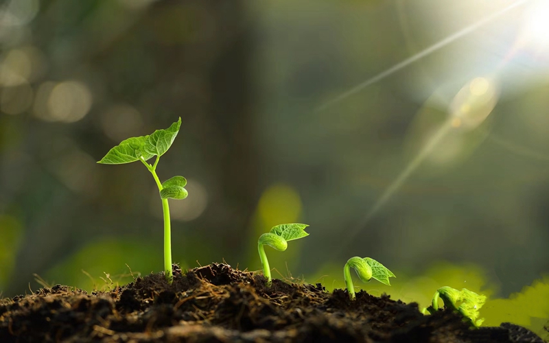 121712906511119166.jpeg IMG_1652(20240412-144925).JPG