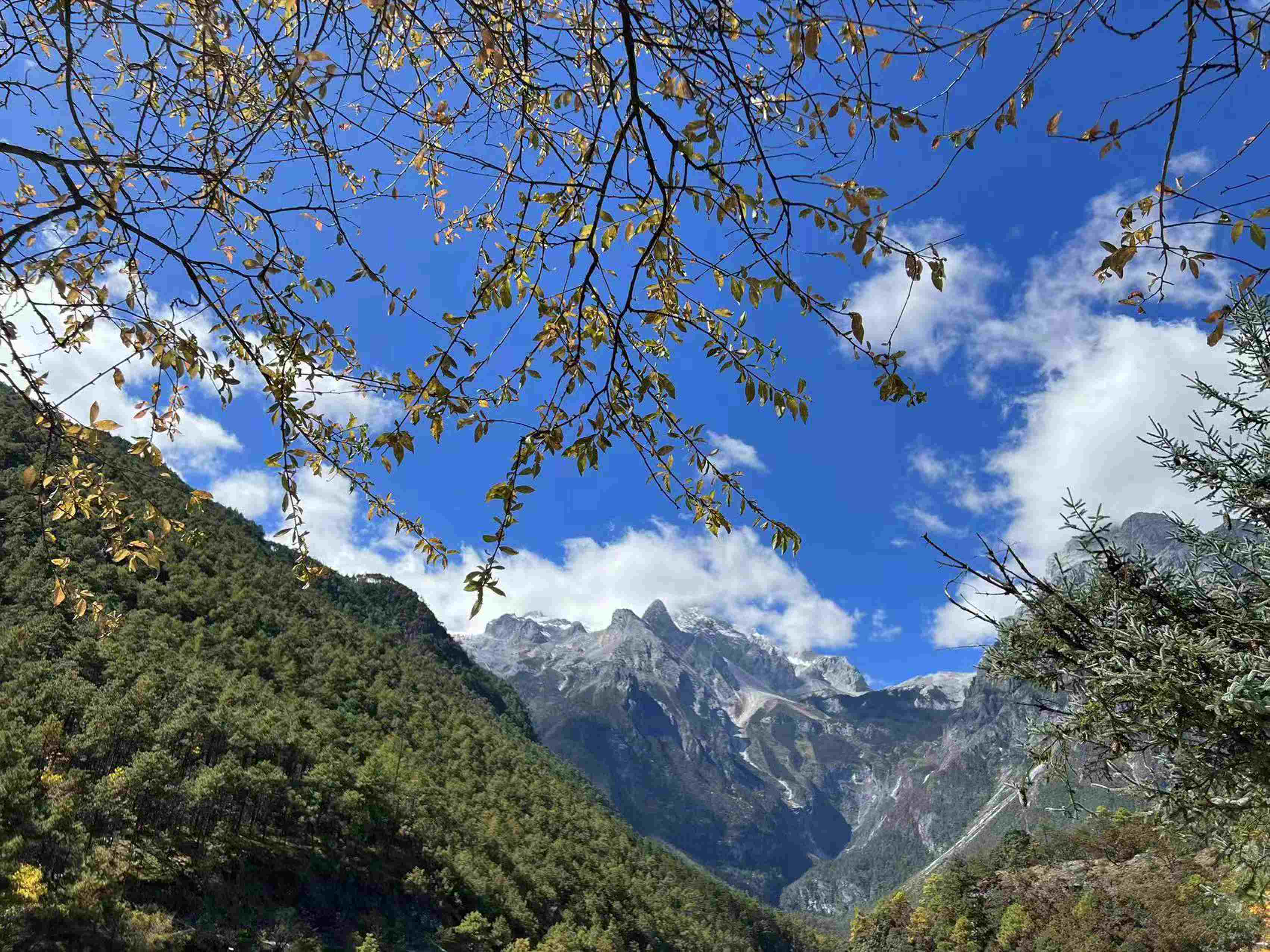 攝影投稿——玉龍雪山2_new_new.jpg
