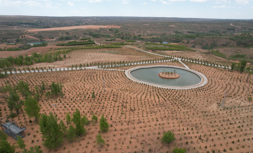 251716636110414668.png image.png