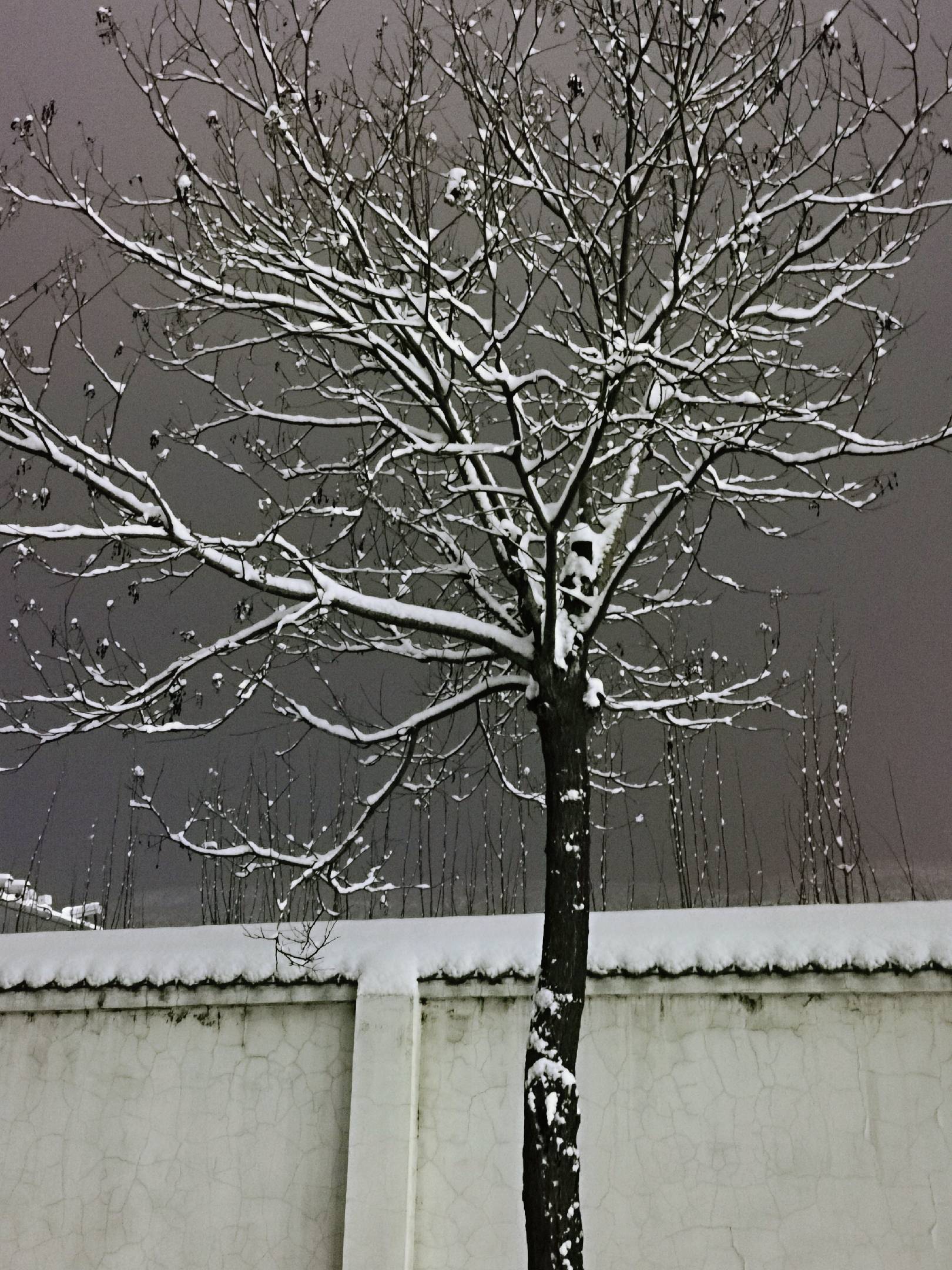 181731890452746376.jpeg 冬.jpg